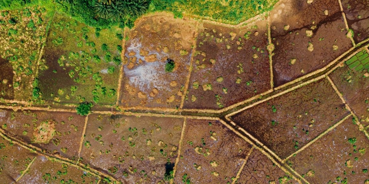 Emsal Nedir? Arsa Değerini Nasıl Etkiler?